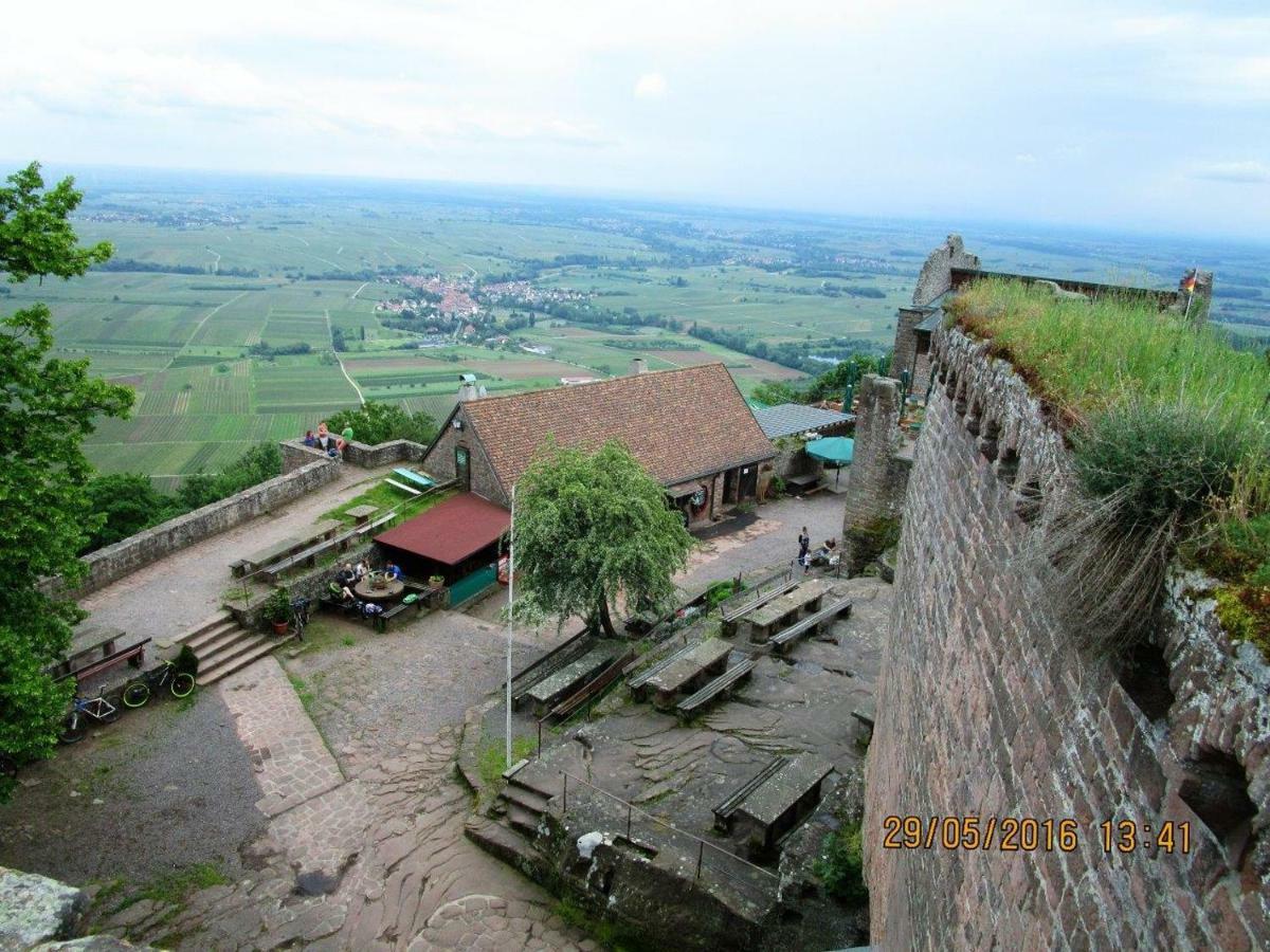 Phoenix Aus Der Asche Rhodt unter Rietburg Exterior foto