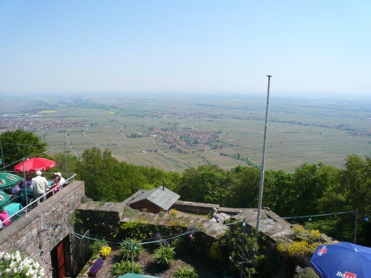 Phoenix Aus Der Asche Rhodt unter Rietburg Exterior foto
